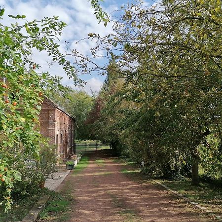 La Chaumiere Du Tordoir Bed & Breakfast Les Rues-des-Vignes Exterior photo