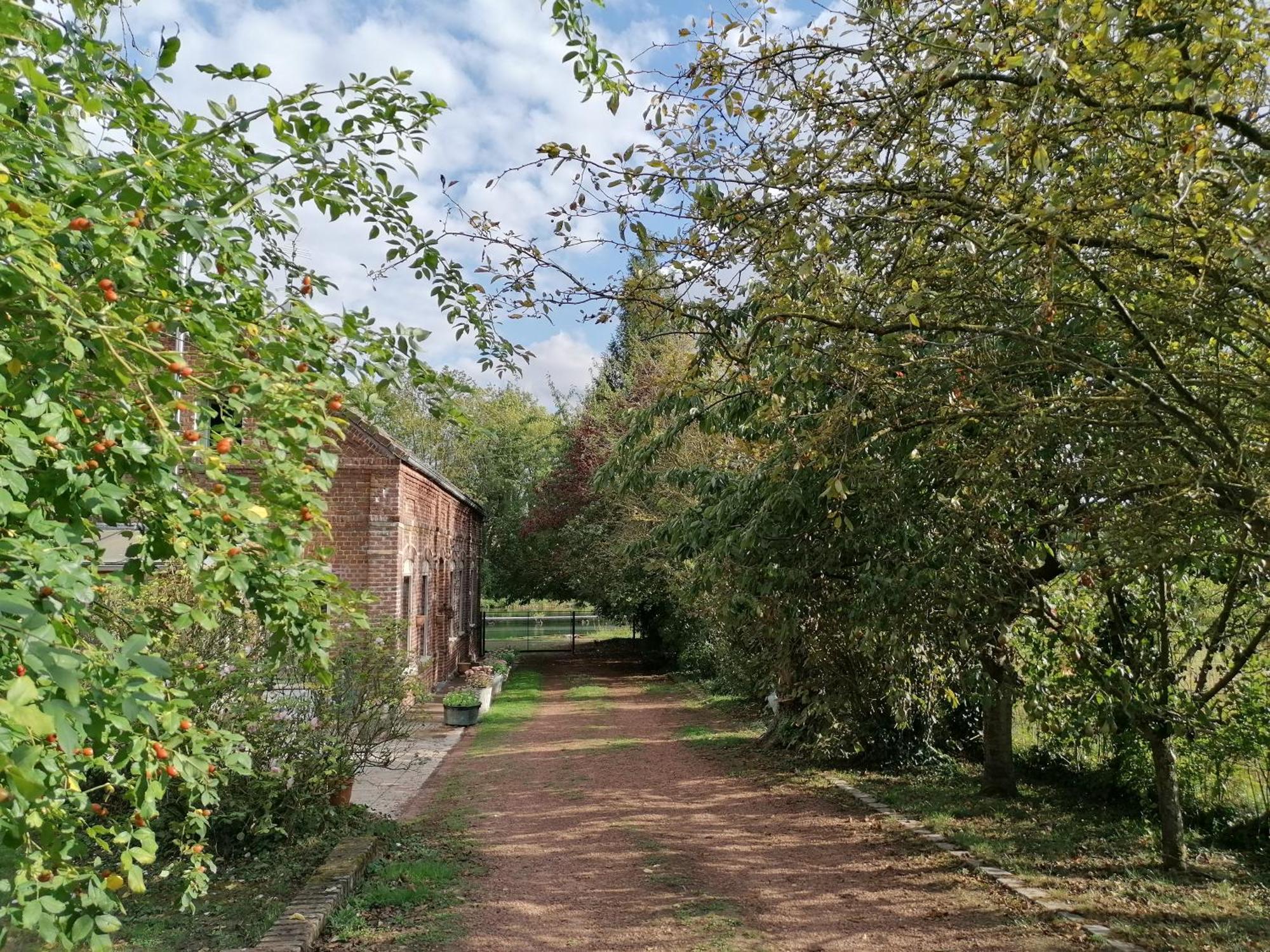 La Chaumiere Du Tordoir Bed & Breakfast Les Rues-des-Vignes Exterior photo